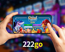 Experiência VIP 222go